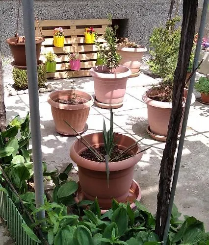 Draga Apartment Nessebar