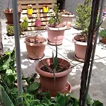 Draga Apartment Nessebar
