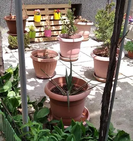 Draga 公寓 内塞伯尔